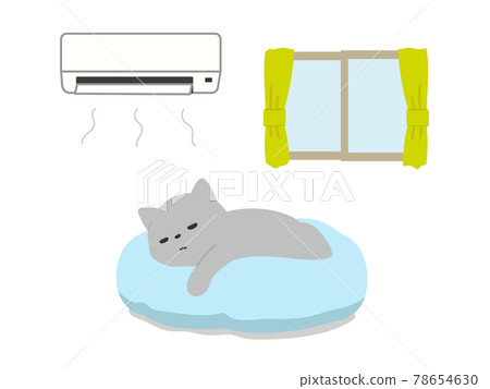 Cat sleeping in an air-conditioned room Heat stroke measures Cat sleeping in an air-conditioned room Heat stroke measures 78654630