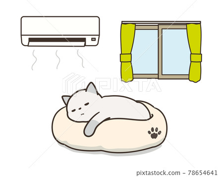 Tabby cat sleeping in an air-conditioned room Measures against heat stroke 78654641