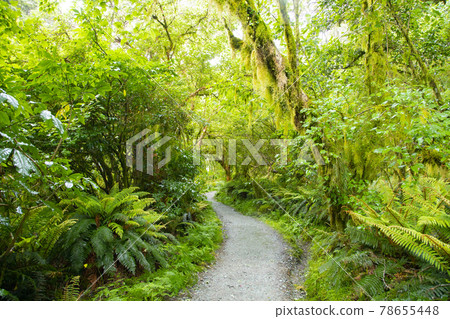 New Zealand Routeburn Track New Zealand Routeburn Track 78655448