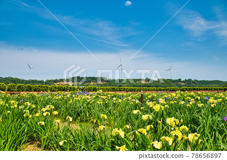 Lake Kitaga 78656897