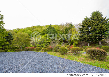岩手縣一關市藤澤町館森方舟農場黃海風景 岩手縣一關市藤澤町館森方舟農場黃海風景 78657065