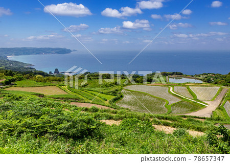 山口縣長門市東牛畑梯田100個日本精選梯田 山口縣長門市東牛畑梯田100個日本精選梯田 78657347