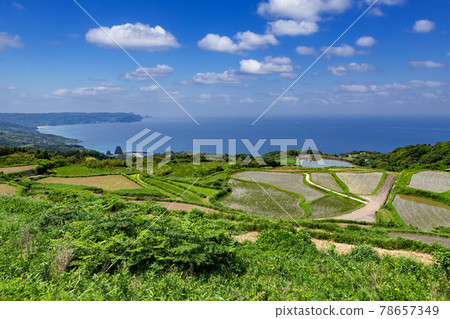 100 Selected Rice Terraces in Japan Higashi Ushitobata Rice Terraces, Nagato City, Yamaguchi Prefecture 100 Selected Rice Terraces in Japan Higashi Ushitobata Rice Terraces, Nagato City, Yamaguchi Prefecture 78657349