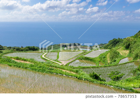 山口縣長門市東牛畑梯田100個日本精選梯田 山口縣長門市東牛畑梯田100個日本精選梯田 78657353