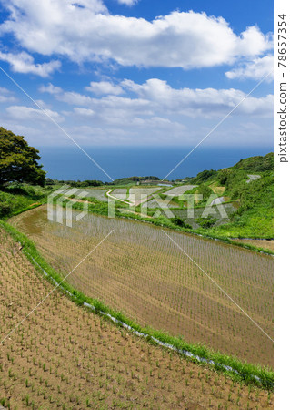 山口縣長門市東牛畑梯田100個日本精選梯田 山口縣長門市東牛畑梯田100個日本精選梯田 78657354