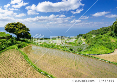 山口縣長門市東牛畑梯田100個日本精選梯田 山口縣長門市東牛畑梯田100個日本精選梯田 78657355
