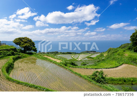 山口縣長門市東牛畑梯田100個日本精選梯田 山口縣長門市東牛畑梯田100個日本精選梯田 78657356