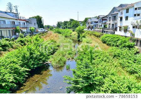 從日橋/野川下游看（東京都三鷹市）[2021.6] 78658153