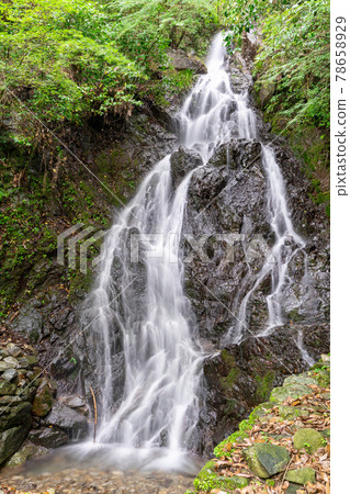 Choon Falls, Ukiha City, Fukuoka Prefecture 78658929