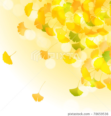 Autumn leaves ginkgo foliage background 78659536