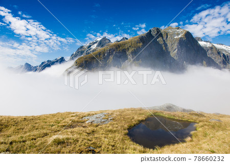 從麥金農山口看世界上最美麗的“米爾福德卡車”長廊 | 新西蘭徒步旅行 從麥金農山口看世界上最美麗的“米爾福德卡車”長廊 | 新西蘭徒步旅行 78660232