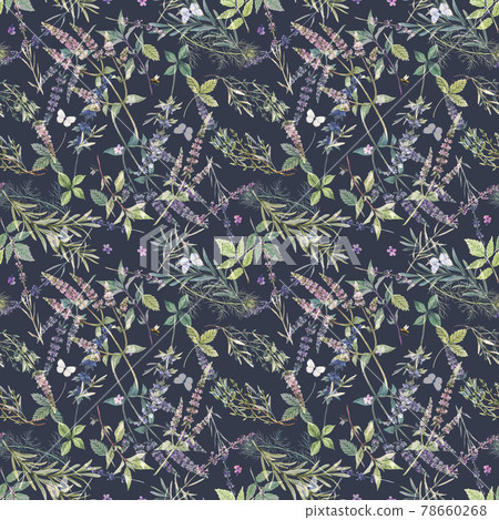 Beautiful seamless floral pattern with hand drawn watercolor gentle mint flowers and other herbs. Stock illuistration. 78660268