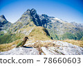 Care for wild birds met on the world's most beautiful walking path "Milford Truck" | New Zealand scenic hiking Care for wild birds met on the world's most beautiful walking path "Milford Truck" | New Zealand scenic hiking 78660603