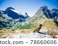Care for wild birds met on the world's most beautiful walking path "Milford Truck" | New Zealand scenic hiking Care for wild birds met on the world's most beautiful walking path "Milford Truck" | New Zealand scenic hiking 78660606