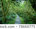 World's Most Beautiful Promenade "Milford Track" Day 1 | New Zealand Hiking World's Most Beautiful Promenade "Milford Track" Day 1 | New Zealand Hiking 78660775