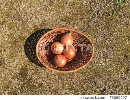 Onions in the basket Onions in the basket 78660997