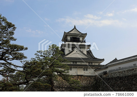 Kochi Castle in Spring Kochi Castle in Spring 78661000