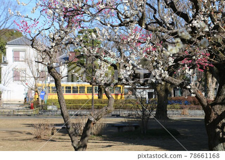 Collaboration between Toden and Kouhaku Ume Collaboration between Toden and Kouhaku Ume 78661168