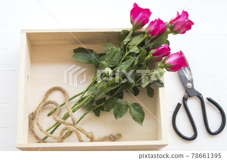 red flowers rose with scissors arrangement flat lay postcard style red flowers rose with scissors arrangement flat lay postcard style 78661395