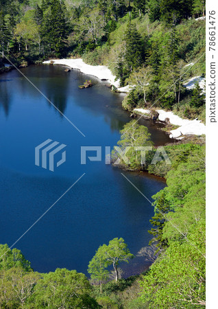 From Kumanuma Hachimantai Aspite Line, where the fresh green is beautiful in spring 78661476