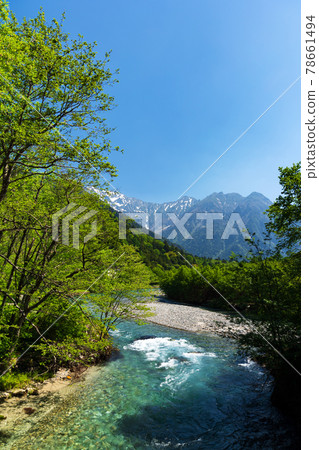 Hotaka mountain range of residual snow facing from the fresh green Kamikochi 78661494