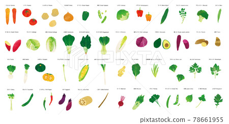 Vegetable watercolor touch illustration set 78661955