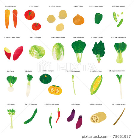 Vegetable watercolor touch illustration set 78661957