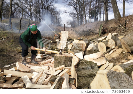 An old woman chopping firewood for the winter, also removes her yard near the house, on the street early spring. An old woman chopping firewood for the winter, also removes her yard near the house, on the street early spring. 78663469