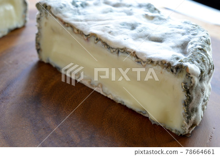 Aged cheese made from goat milk wrapped in mold Aged cheese made from goat milk wrapped in mold 78664661
