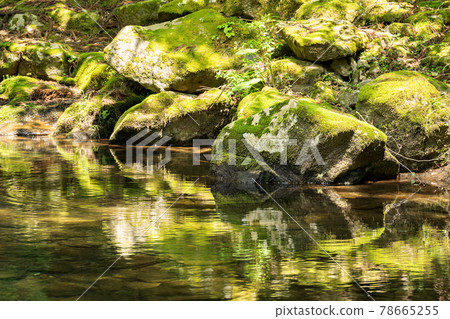 Emerald green clear stream in Akame Valley 78665255