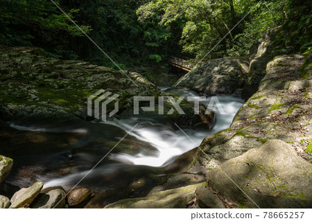 Akame Valley in early summer, near the top of Reija Waterfall 78665257