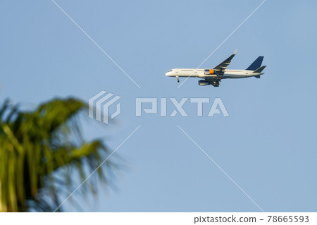 Passenger plane prepares to land in tropical country. Silhouette of flying aircraft and palm tree leaves on clear blue sky. Open boarders. 78665593