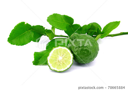 Kaffir lime or Bergamot, fruit and leaves isolated on white background. Kaffir lime or Bergamot, fruit and leaves isolated on white background. 78665884