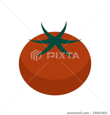 Simple tomato illustration 78665903