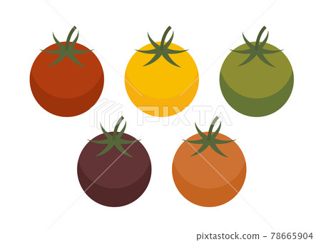 Illustration of colorful cherry tomatoes 78665904