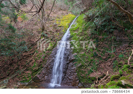 《兵庫縣》 笠形山仙峰縣立自然公園風光 78666434