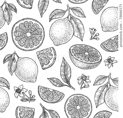 Lemons, leaves and flowers seamless pattern. Fresh summer citrus background. Engraved sketch style. Vector illustration. 78666575