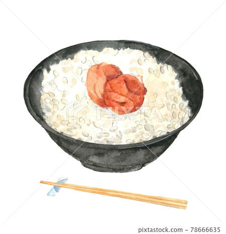 梅干配筷子和白米飯 剛煮熟的米飯 [水彩] 插圖素材 白色背景 PNG 可用複制空間 78666635