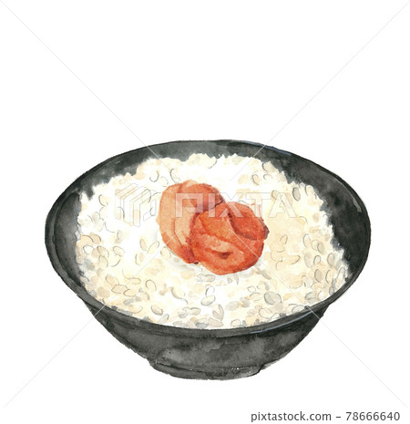 梅干和白米飯 剛煮熟的米飯 [水彩] 插圖素材 白色背景 PNG 可用複制空間 78666640