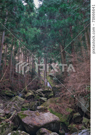 《兵庫縣》 笠形山仙峰縣立自然公園風光 78666641