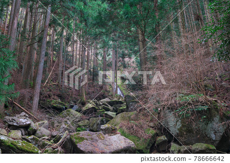 《兵庫縣》 笠形山仙峰縣立自然公園風光 《兵庫縣》 笠形山仙峰縣立自然公園風光 78666642