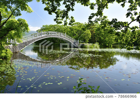初夏在北海道七飯町大沼公園拍攝大沼風光 初夏在北海道七飯町大沼公園拍攝大沼風光 78666966