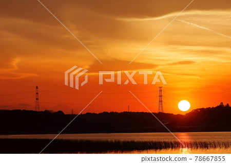 A sunset glow in Teganuma 78667855