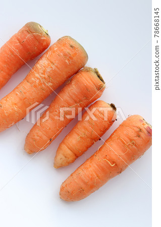 Freshly harvested orange carrots 78668145