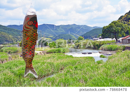 Satoyama scenery where carp streamers swim on the river 78668478