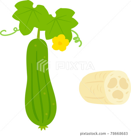 Loofah fruit and scrubbing brush 78668683