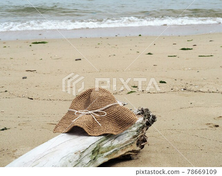Straw hat placed on driftwood on a sandy beach Straw hat placed on driftwood on a sandy beach 78669109