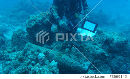 A diving guide that guides the remains of the war in the sea of Okinawa A diving guide that guides the remains of the war in the sea of Okinawa 78669143