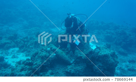 在沖繩海中引導戰爭遺蹟的潛水指南 78669144