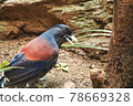 Lidth's jay 轉身 78669328